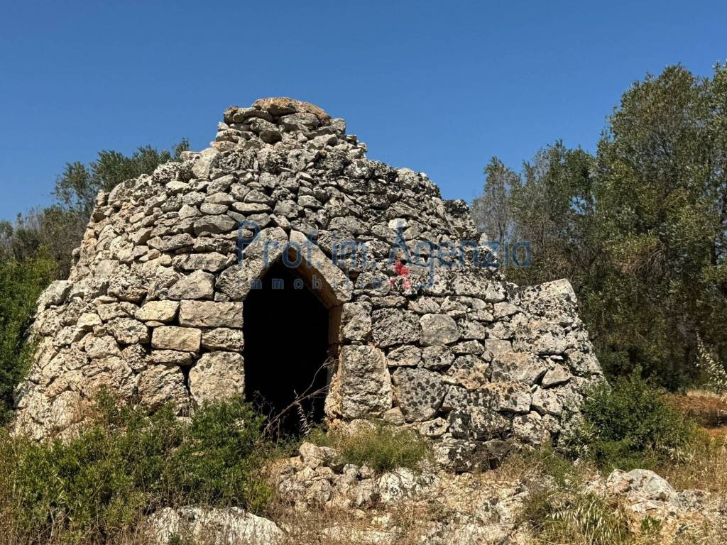 Rustico / casale a Carovigno - Foto 2