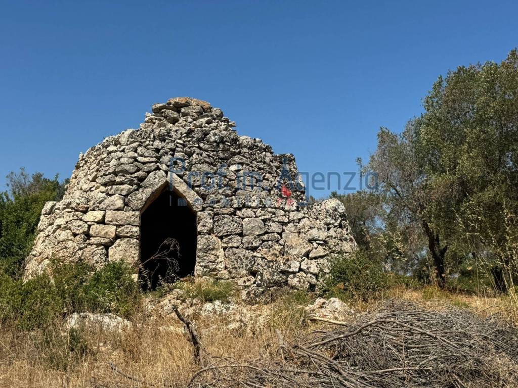 Rustico / casale a Carovigno - Foto 3