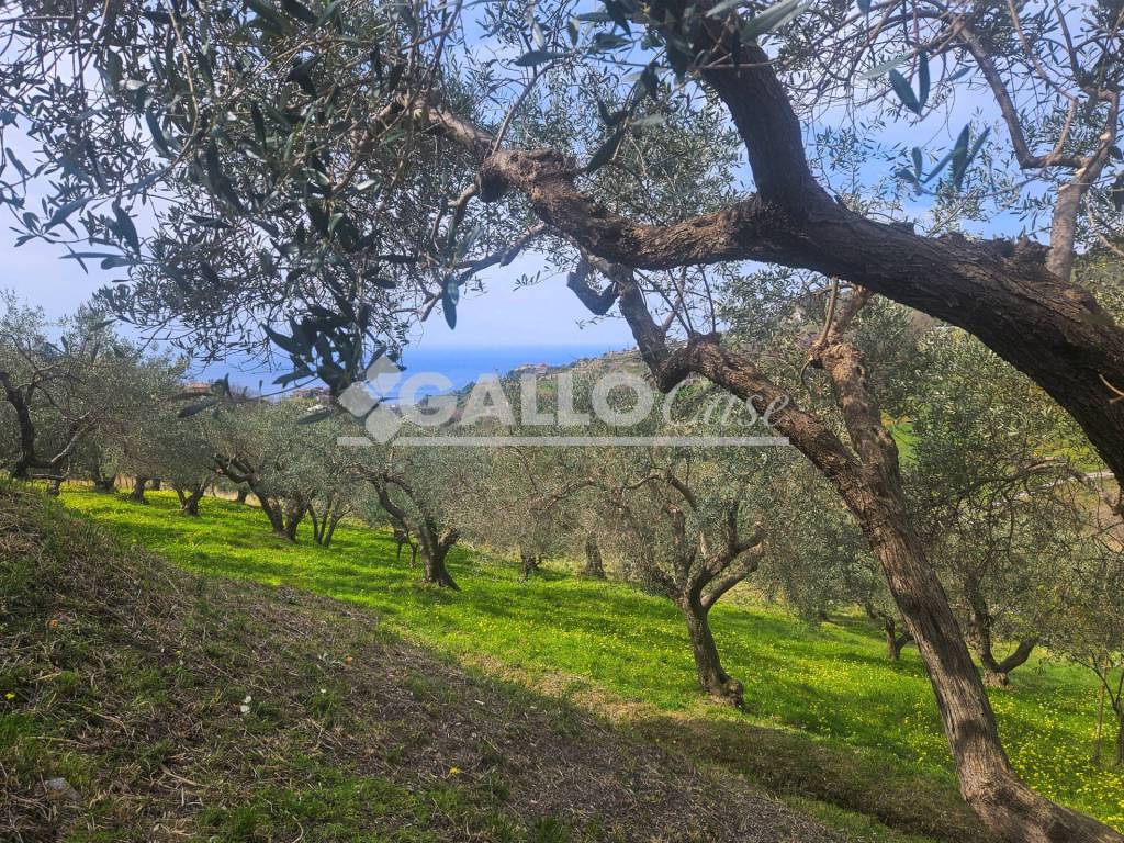 Casa indipendente a Belvedere marittimo in Contrada Rocca - Foto 4
