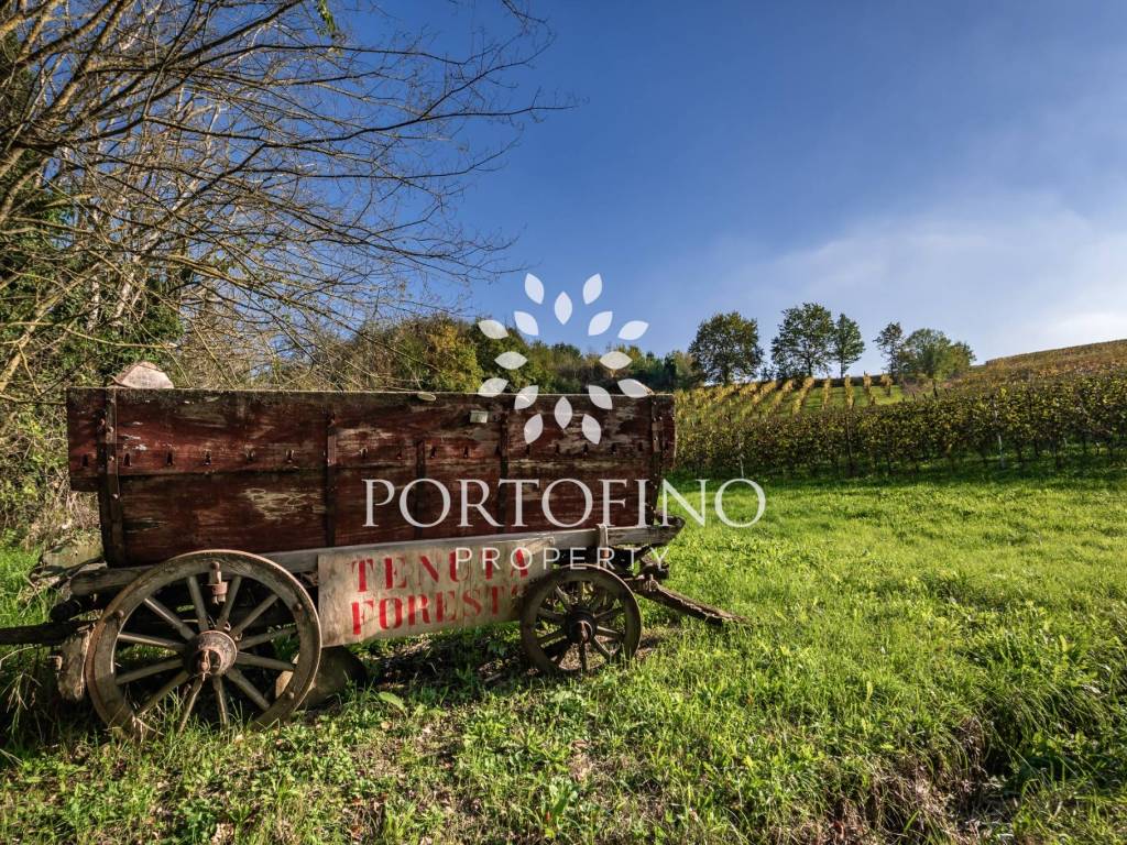Villa a Nizza monferrato in Strada Baglio, 68 - Foto 3