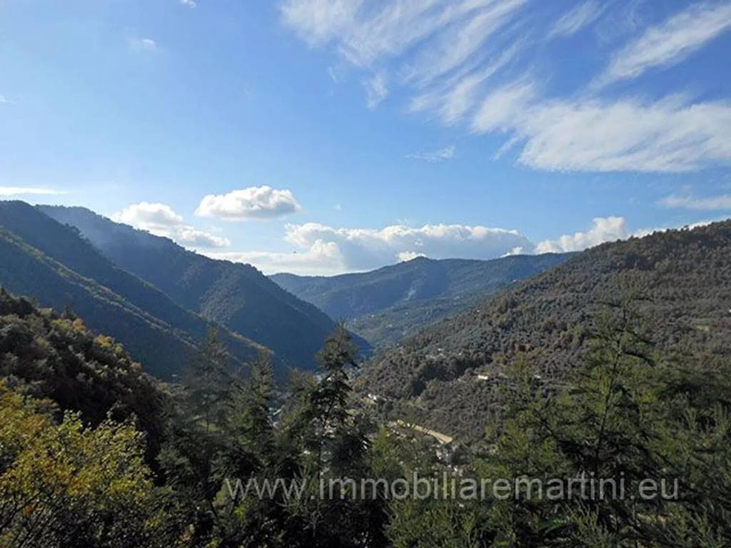 Rustico / casale a Isolabona in Campagna S.N.C. - Foto 3