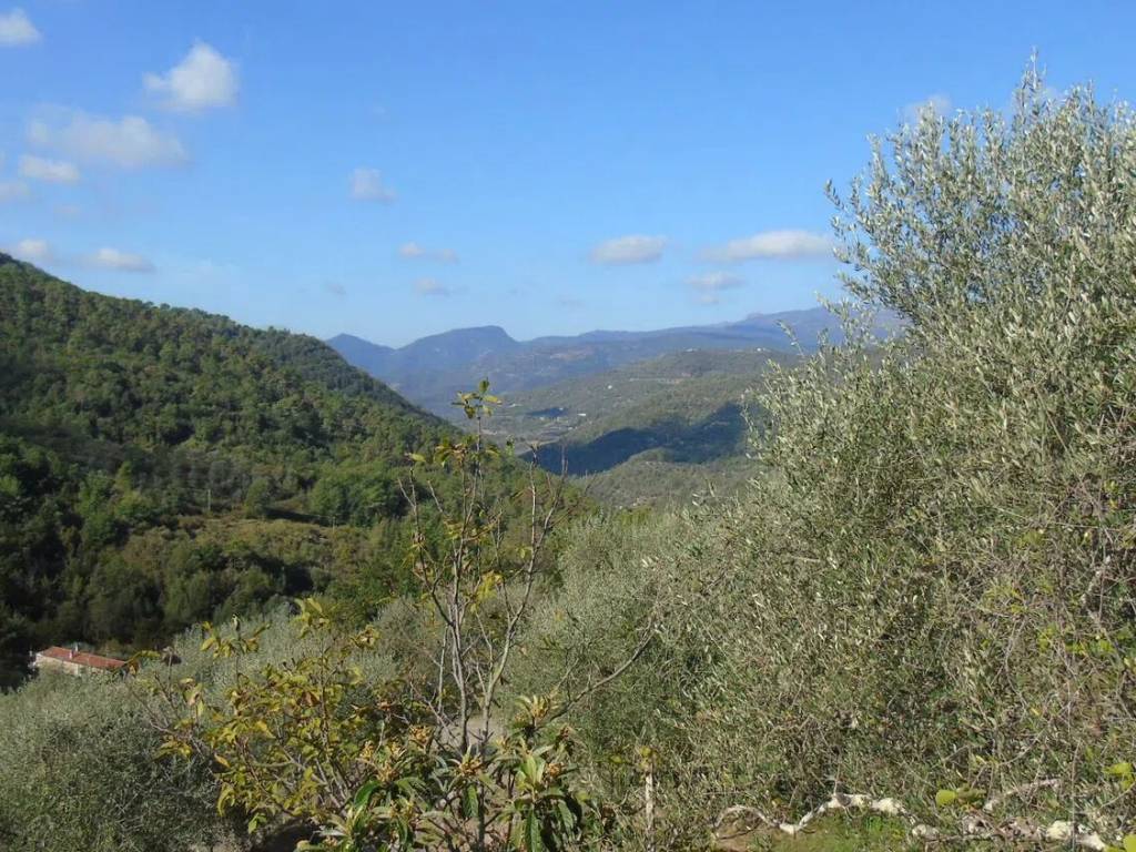 Villa a Apricale in Apricale, Im S.N.C. - Foto 4