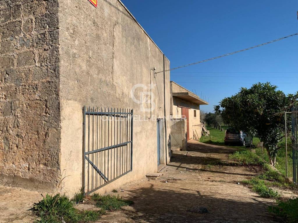 Rustico / casale a Specchia in Strada Comunale Ruffano - Foto 2