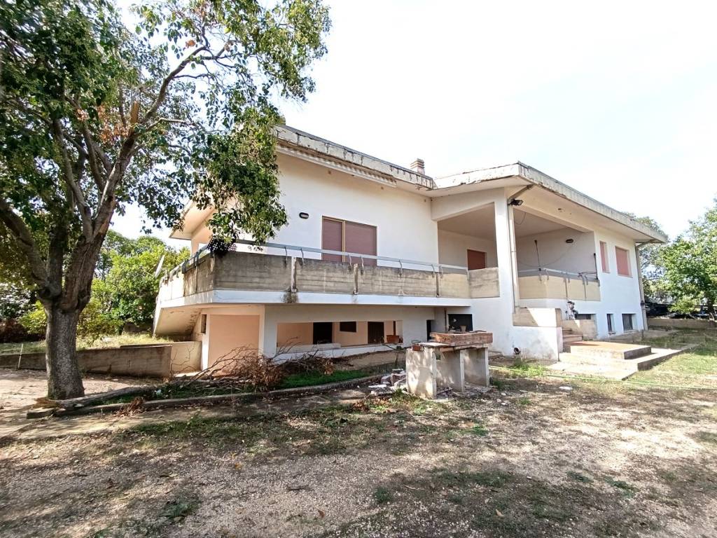 Terreno a Bernalda - Foto 4