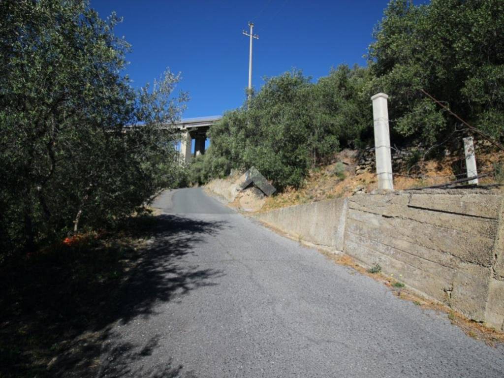 Terreno a Taggia in Str. Antica di Badalucco - Foto 4