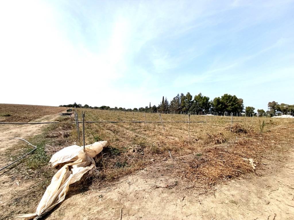 Villa a Bernalda - Foto 4