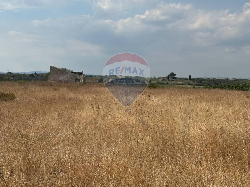 Terreno a Noto in c.da Maccari Archi - Foto 3