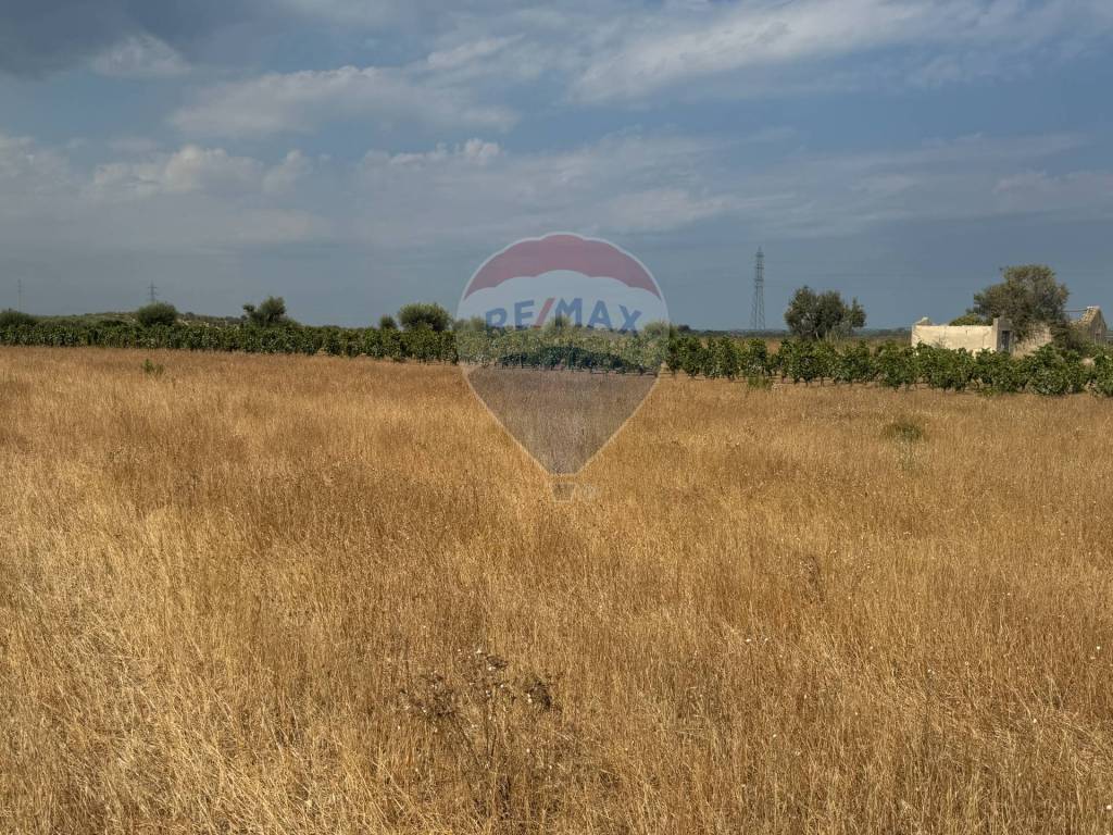 Terreno a Noto in c.da Maccari Archi - Foto 5