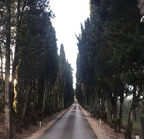 Appartamento a Quarrata in Via Vecchia Fiorentina Tronco 1, 80 - Foto 5