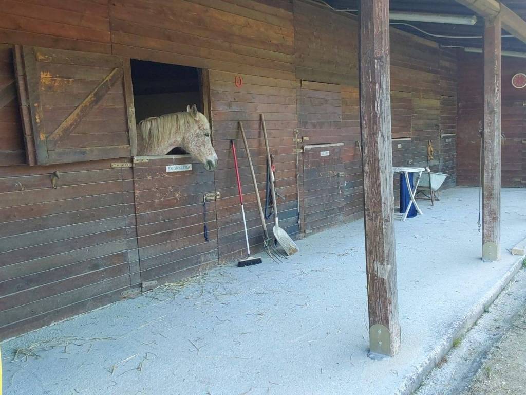 Immobile a Montecassiano in Località San Giuseppe - Foto 3