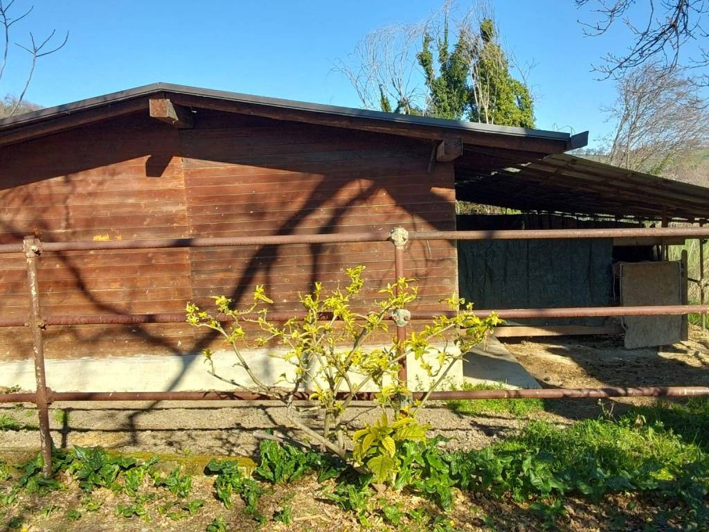 Immobile a Montecassiano in Località San Giuseppe - Foto 4