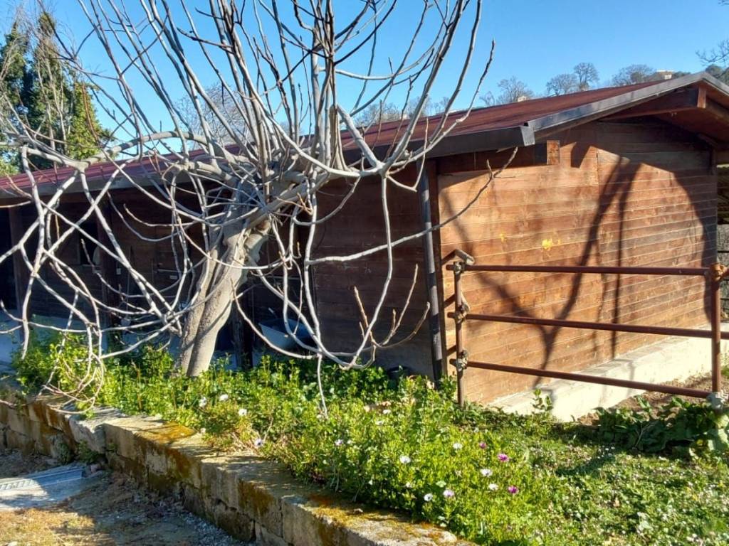 Immobile a Montecassiano in Località San Giuseppe - Foto 5