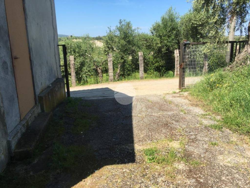 Appartamento a Briatico in Contrada Notaro - Foto 3