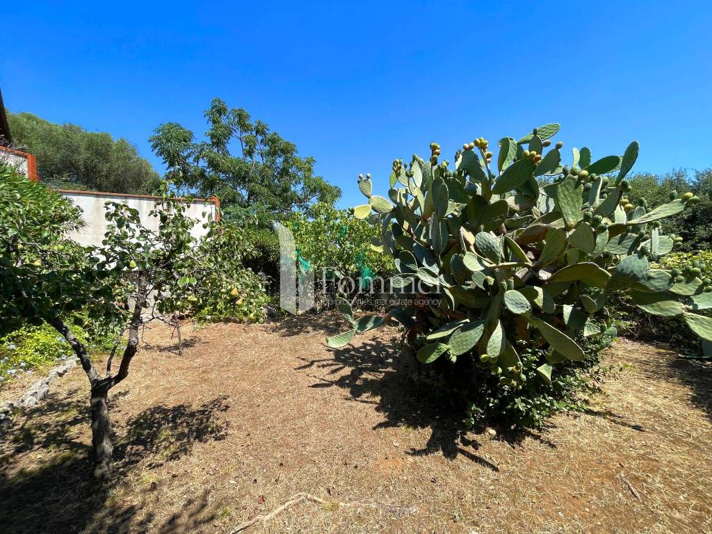 Appartamento a Orbetello in Via del Gelsomino, 3 - Foto 4