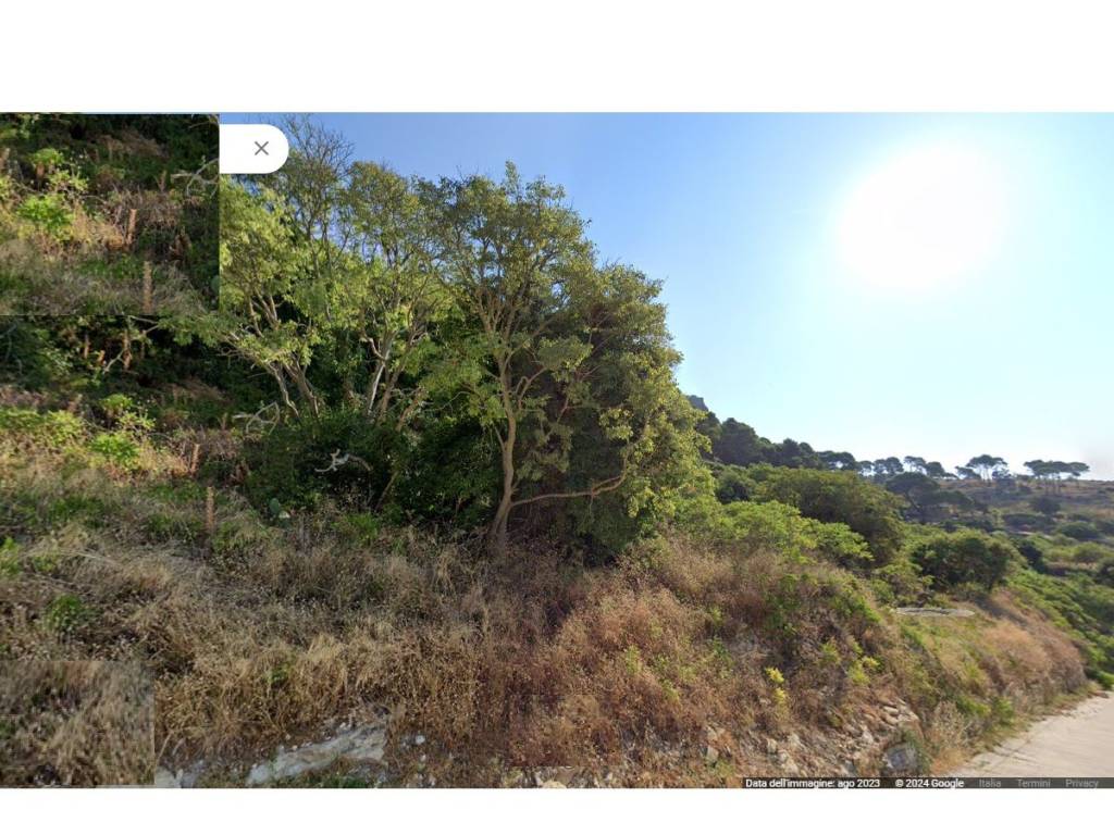 Terreno a Erice in Contrada cappuccini - Foto 4