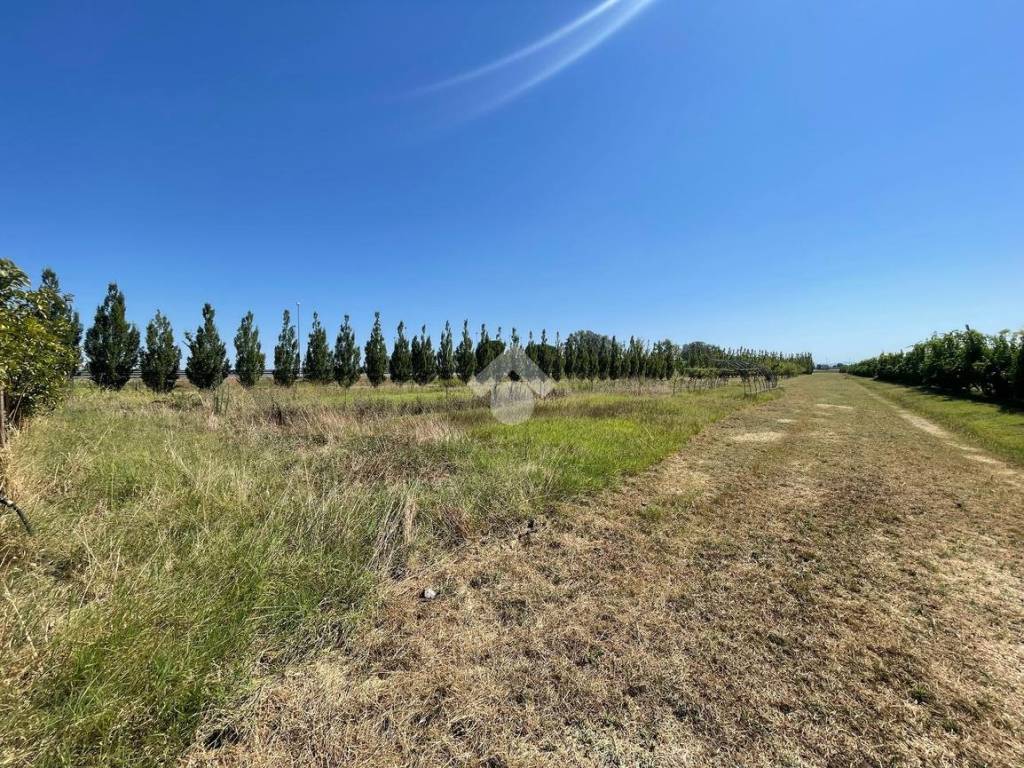 Casa indipendente a Cotignola in Via Torrazza, 9 - Foto 5