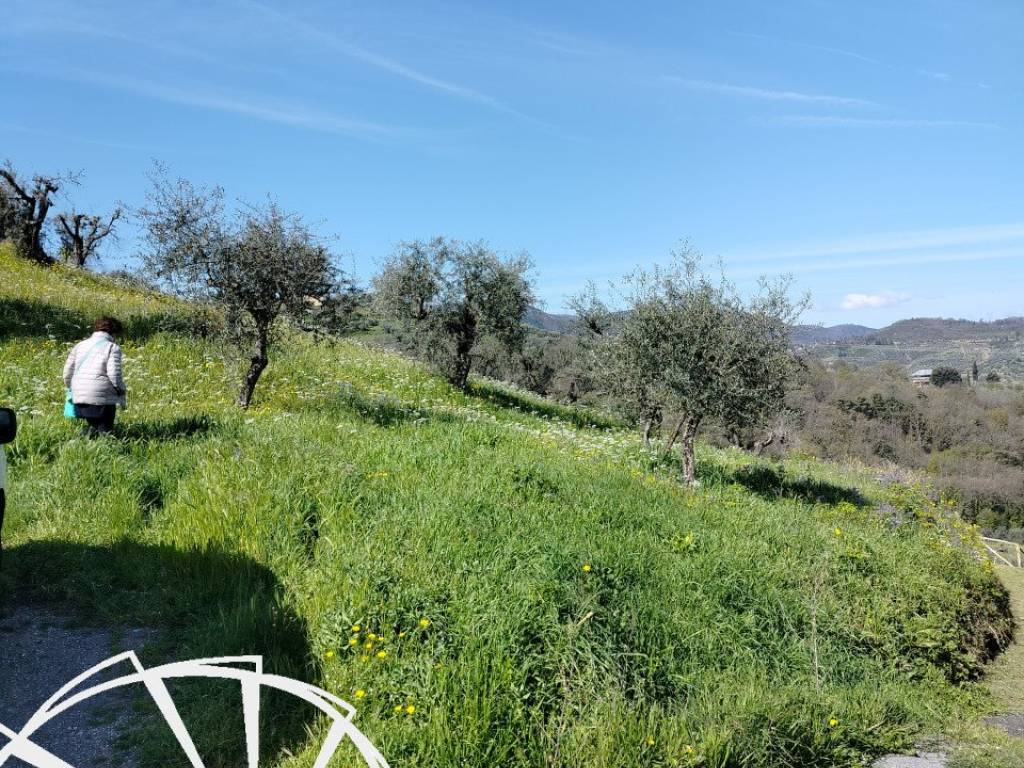 Terreno a Carmignano in Carmignano - Foto 2