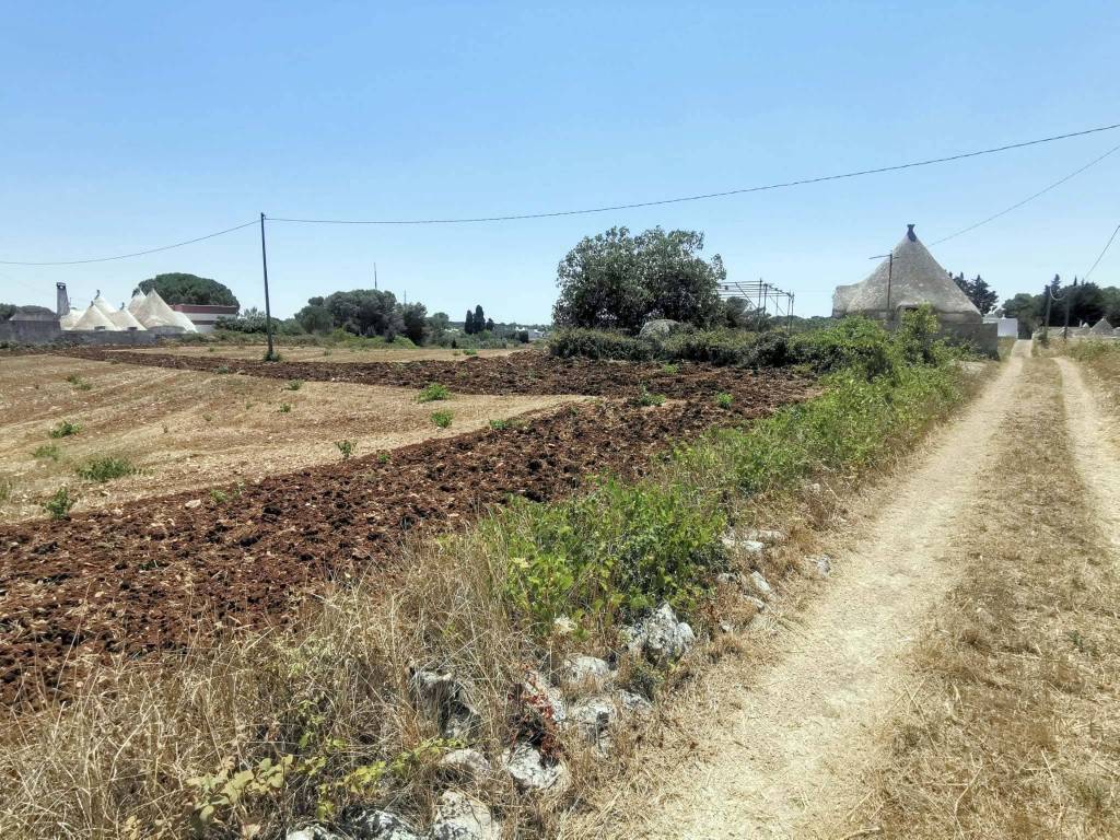 Rustico / casale a Martina franca in Strada Massafra Zona F - Foto 3