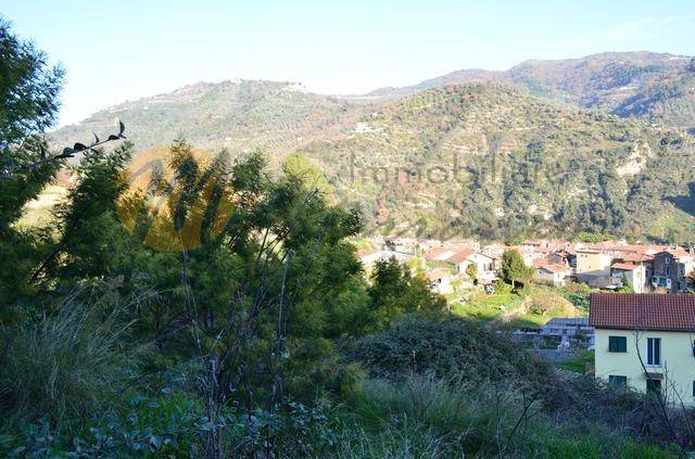 Terreno a Dolceacqua - Foto 5