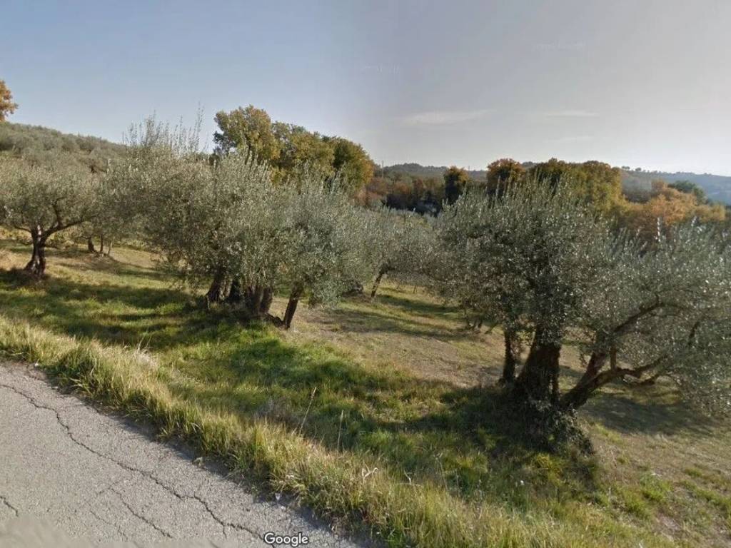 Terreno a Deruta in Strada Provinciale 419 S.N.C. - Foto 2