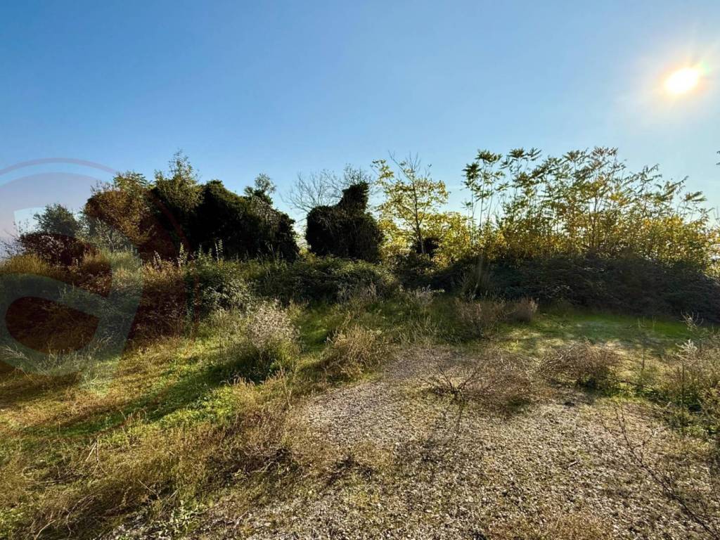 Terreno a Castrocielo in Via Cavallara - Foto 3
