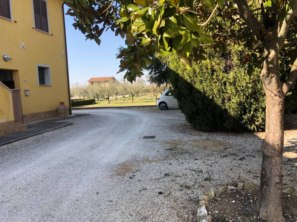 Rustico / casale a Bettona in Via Assisi - Foto 5