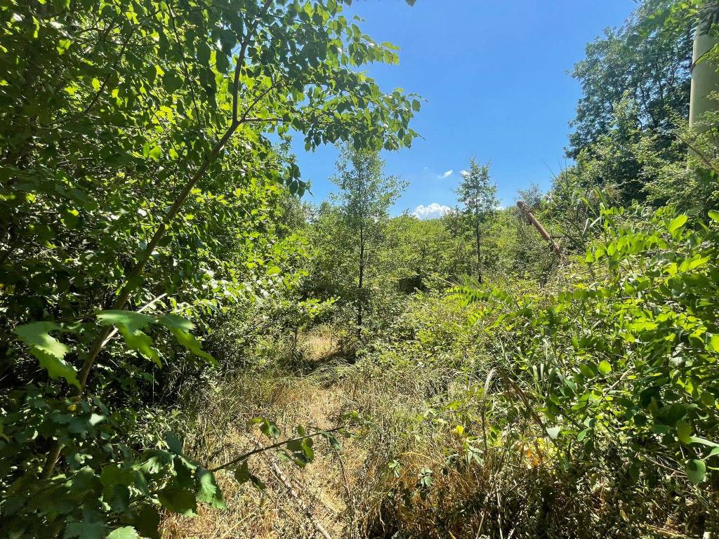 Terreno a Sant'angelo a cupolo in Via Alessandro Manzoni - Foto 3