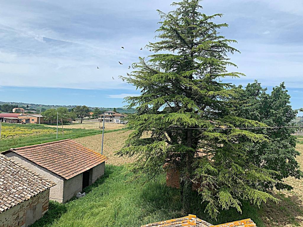 Rustico / casale a Deruta in Via Vocabolo Venturello, 42 - Foto 4