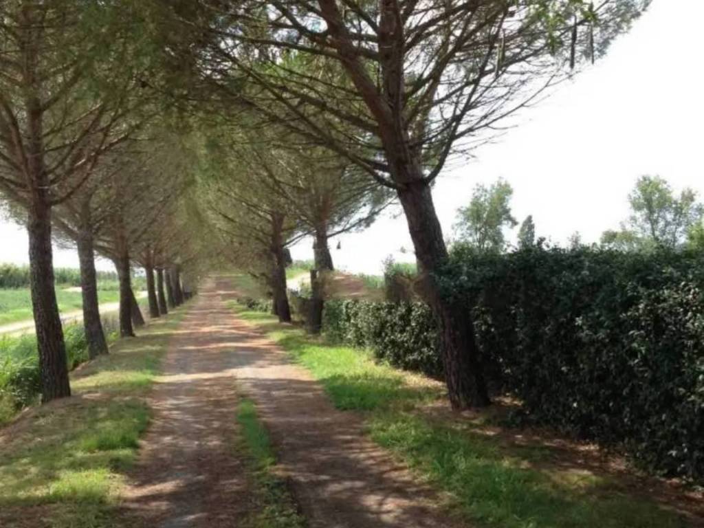 Rustico / casale a Grosseto in Strada Provinciale Bozzone - Foto 2