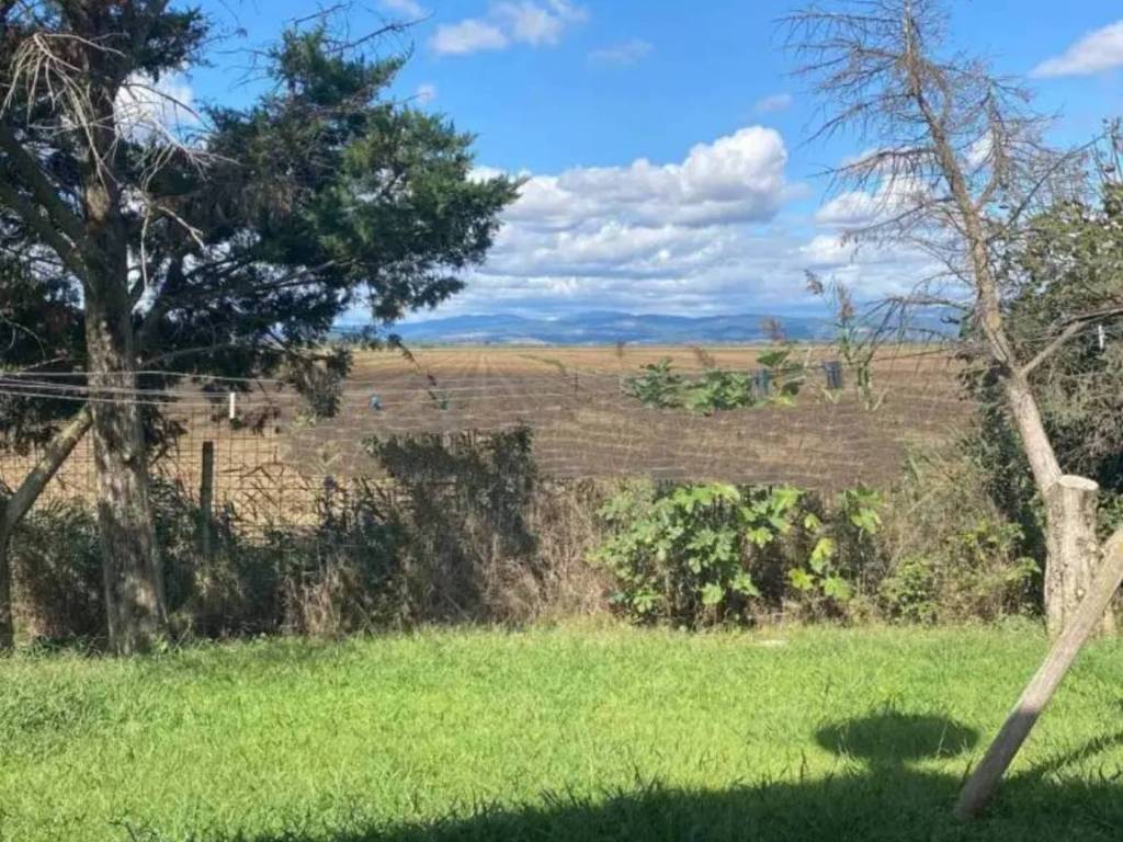 Rustico / casale a Grosseto in Strada Provinciale Bozzone - Foto 4
