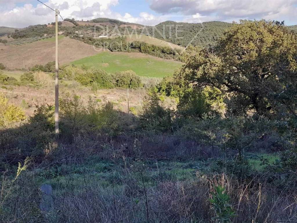 Immobile a Roccastrada in Roccastrada - Foto 3