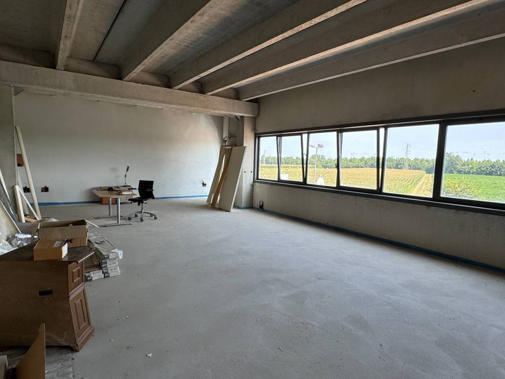 Immobile a Stienta in Via Eridania - Foto 5