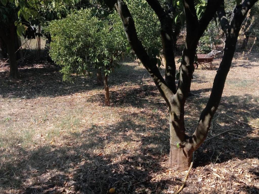 Terreno a Cisterna di latina in Via Francesco Petrarca - Foto 2