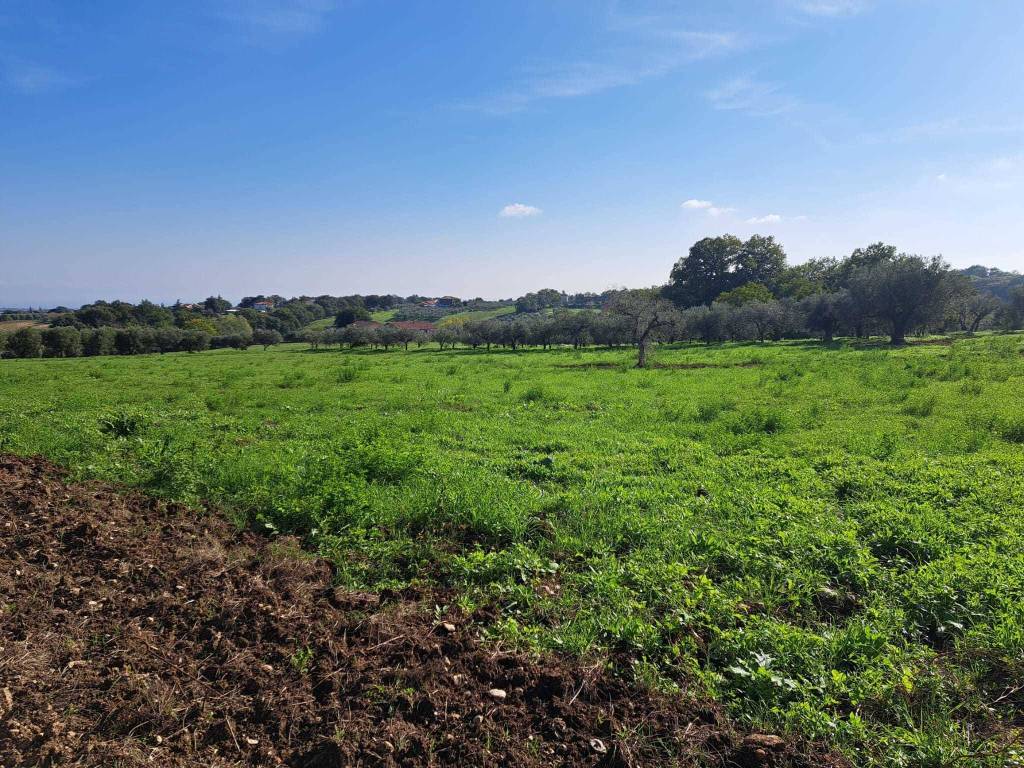Terreno a Lanciano in Via Follani, 107 - Foto 3