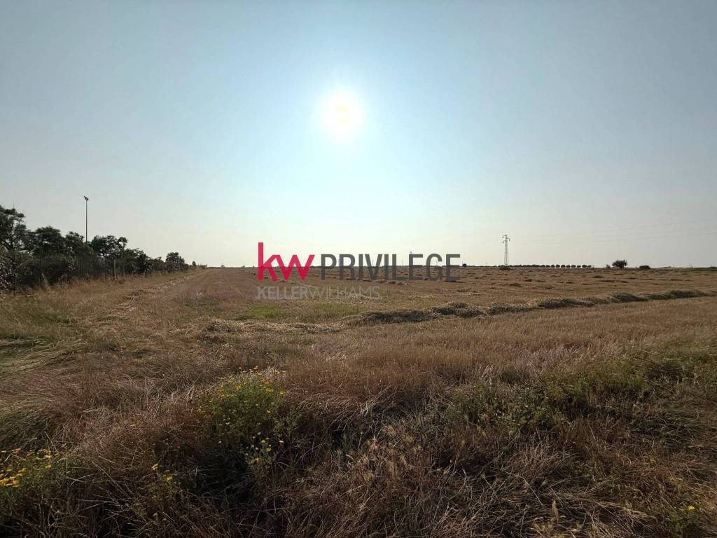 Terreno a Brindisi in Strada per Pilella - Foto 3