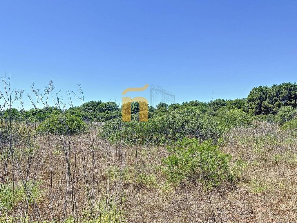 Rustico / casale a Ugento in SP332 - Foto 5