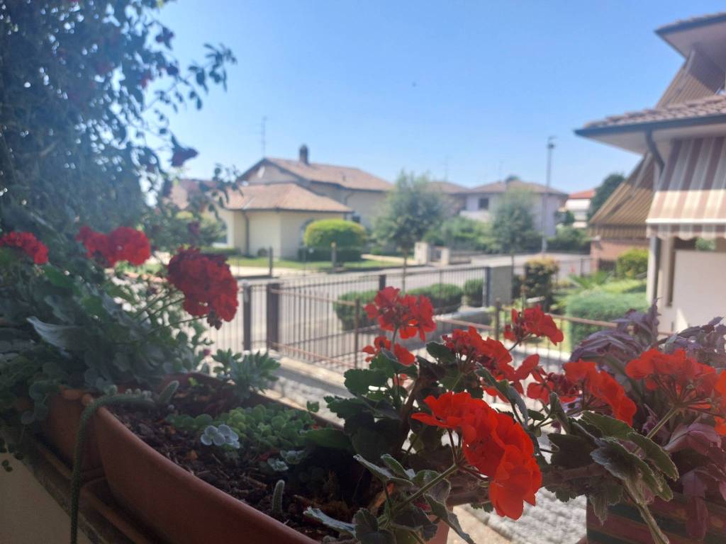 Villa a Sant'angelo lodigiano in Viale dei Fiori - Foto 4