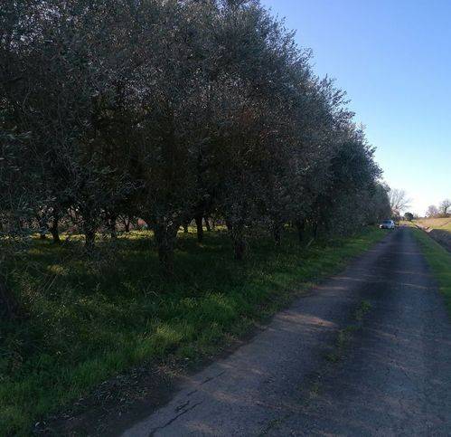 Terreno a Ascea in Località Paino - Foto 2