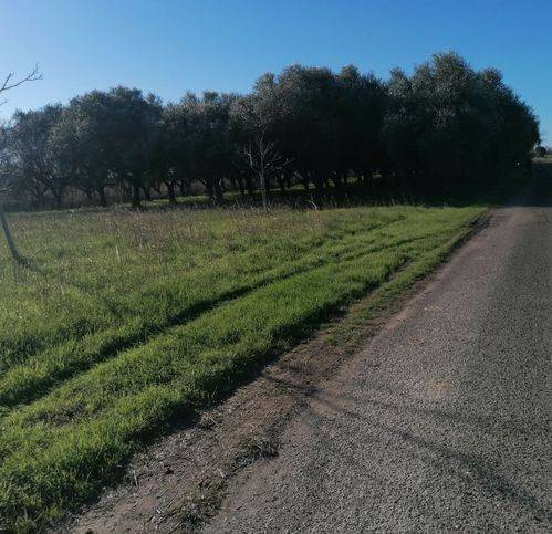 Terreno a Ascea in Località Paino - Foto 4