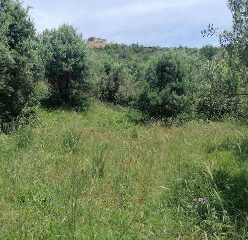 Terreno a Casal velino in Contrada Serra 32 - Foto 3