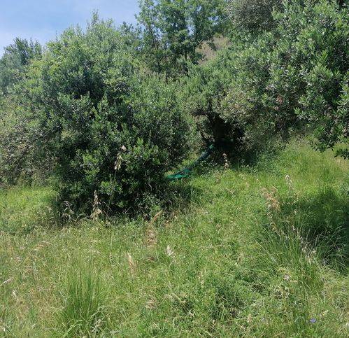 Terreno a Casal velino in Contrada Serra 32 - Foto 4