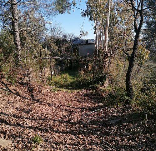 Terreno a Salento in Contrada Maroccia - Foto 2