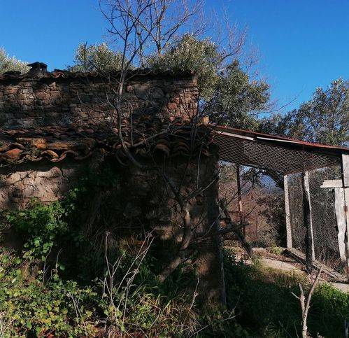 Terreno a Salento in Contrada Maroccia - Foto 3