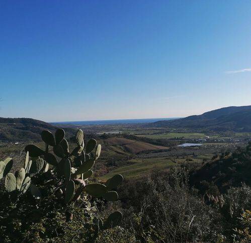 Terreno a Salento in Contrada Maroccia - Foto 4