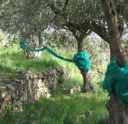 Terreno a Casal velino in Contrada Serra 32 - Foto 4