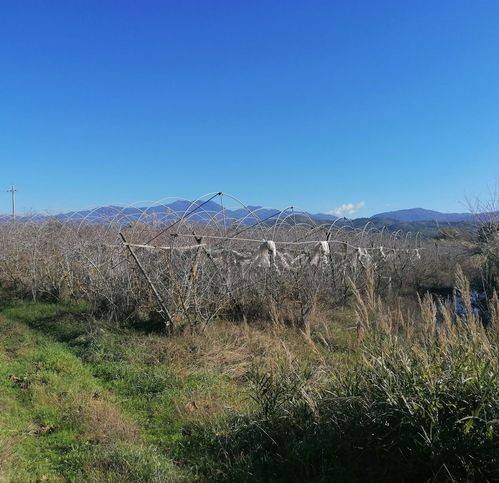 Terreno a Casal velino in Sp161 75 - Foto 2