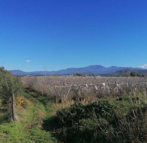 Terreno a Casal velino in Sp161 75 - Foto 3