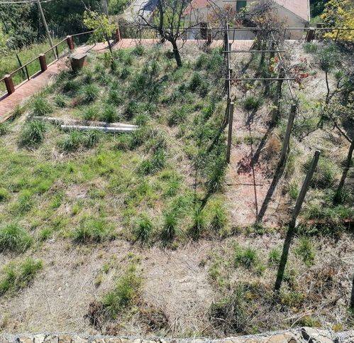 Villa a Casal velino in Via Serra - Foto 2