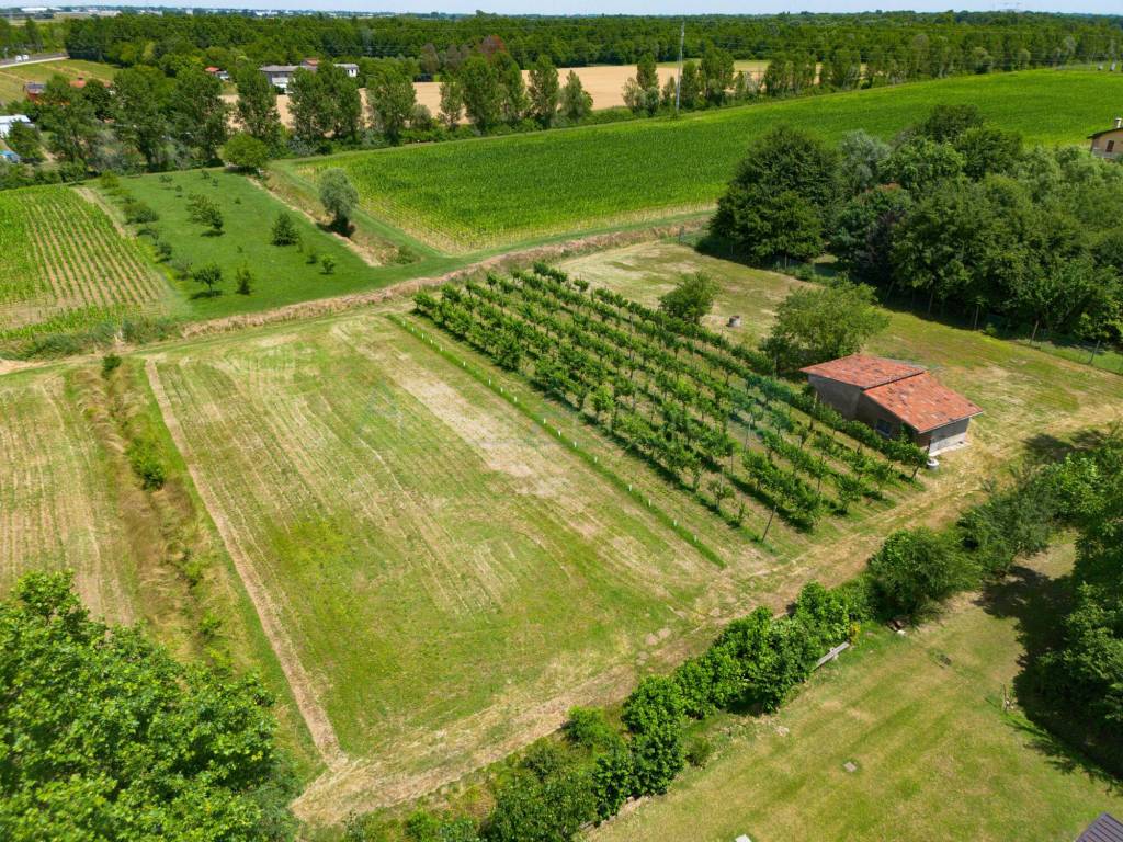 Terreno a Venezia - Foto 5