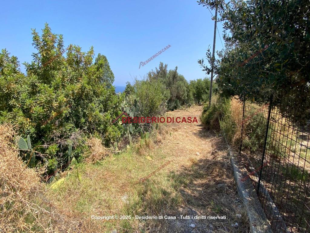 Terreno a Cinisi in SS113 - Foto 4